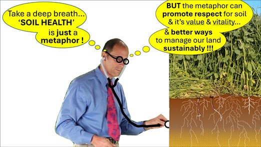 /ARSUserFiles/21904/Photos/Soil health metaphor.jpg